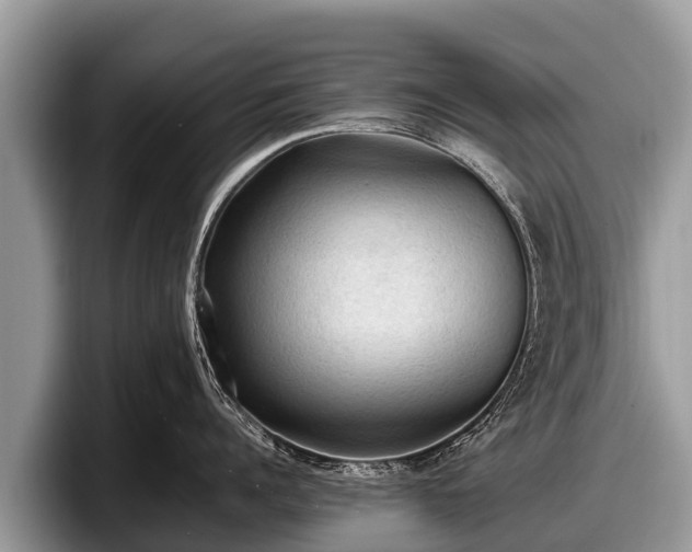 X0000097880960200803211332