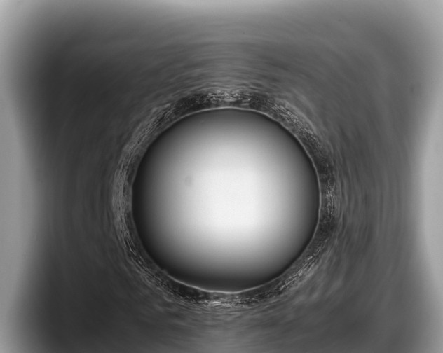X0000097880961200803211331