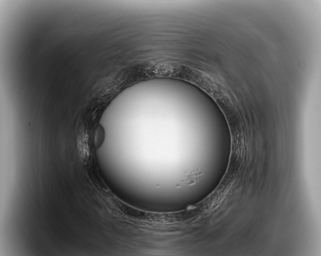 X0000097880962200803211331