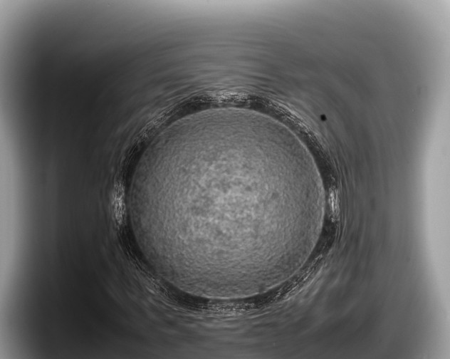 X0000097880963200803211331