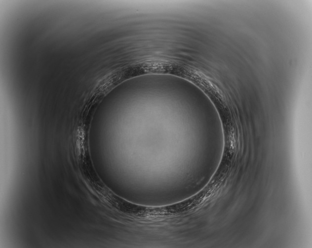 X0000097880964200803211331