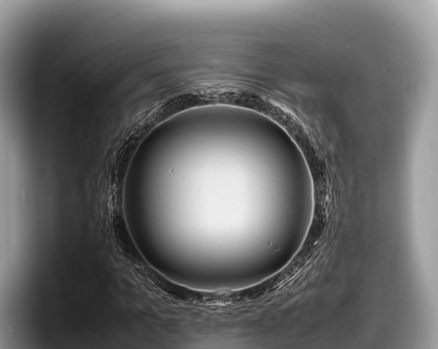 X0000097880965200803211331