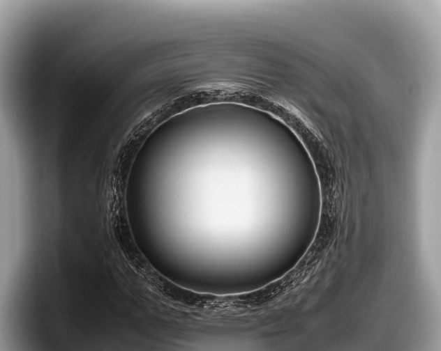 X0000097880967200803211331