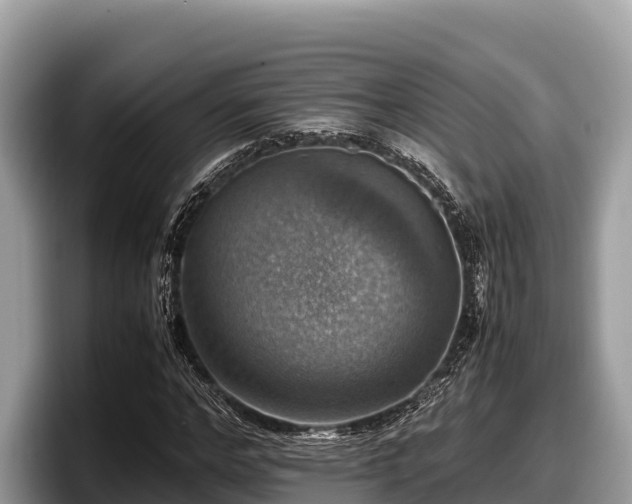X0000097880968200803211331