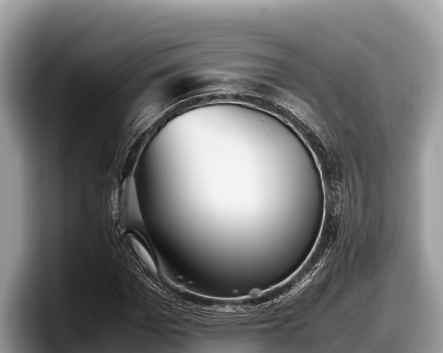 X0000097880969200803211331