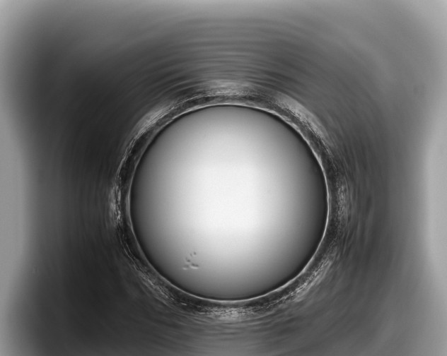 X0000097880970200803211331