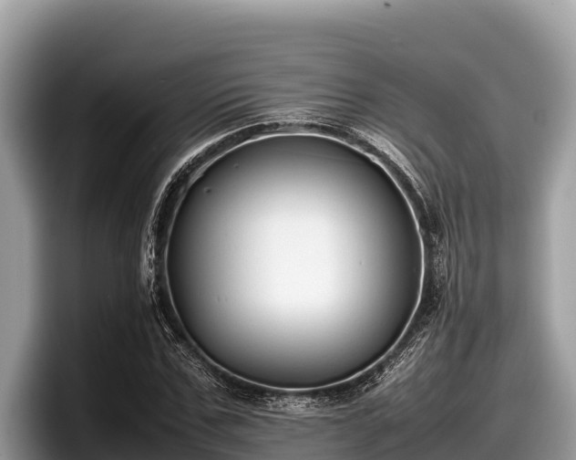 X0000097880971200803211331