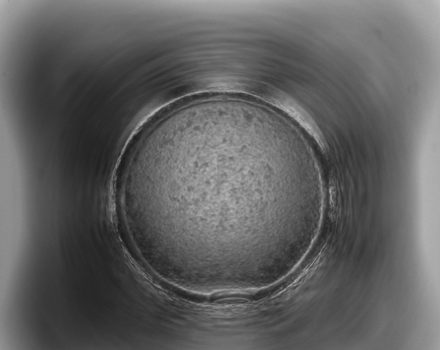 X0000097880972200803211331