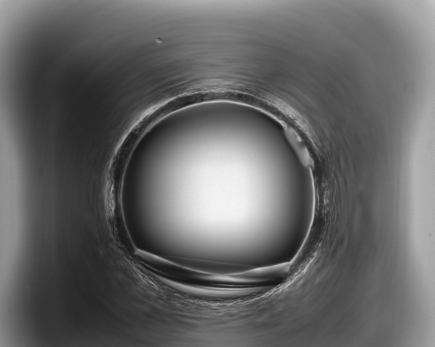 X0000097880973200803211331