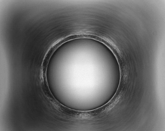 X0000097880974200803211331