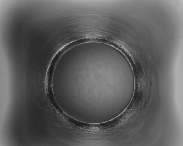 X0000097880975200803211331