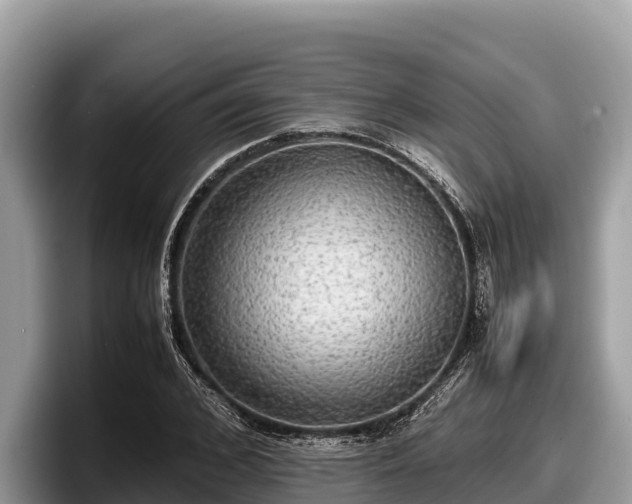 X0000097880976200803211331