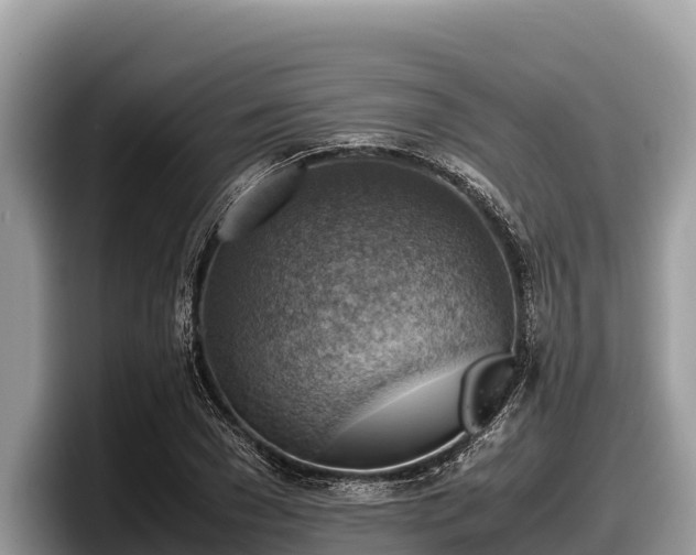 X0000097880977200803211331