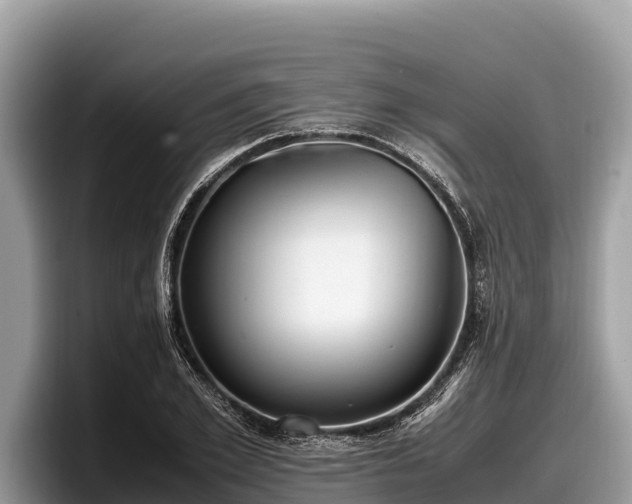 X0000097880981200803211331