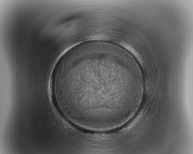X0000097880983200803211331