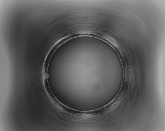 X0000097880984200803211331