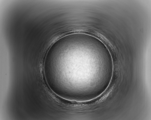 X0000097880985200803211331