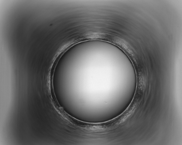 X0000097880986200803211331