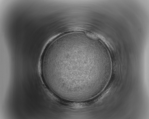 X0000097880987200803211331