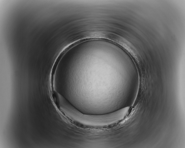 X0000097880988200803211331