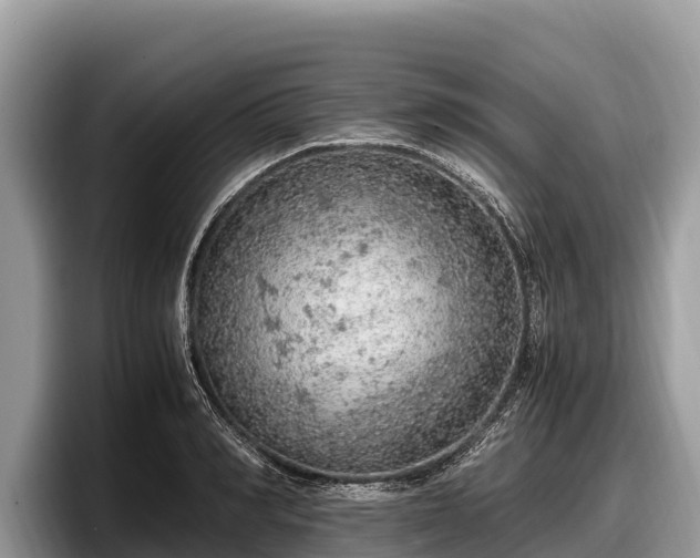 X0000097880990200803211331