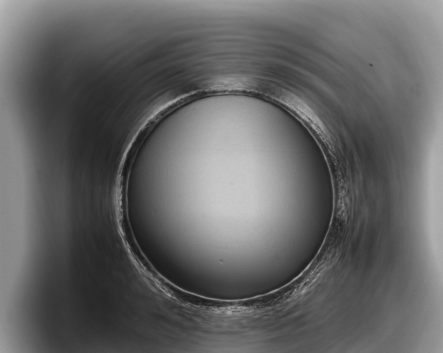 X0000097880992200803211330