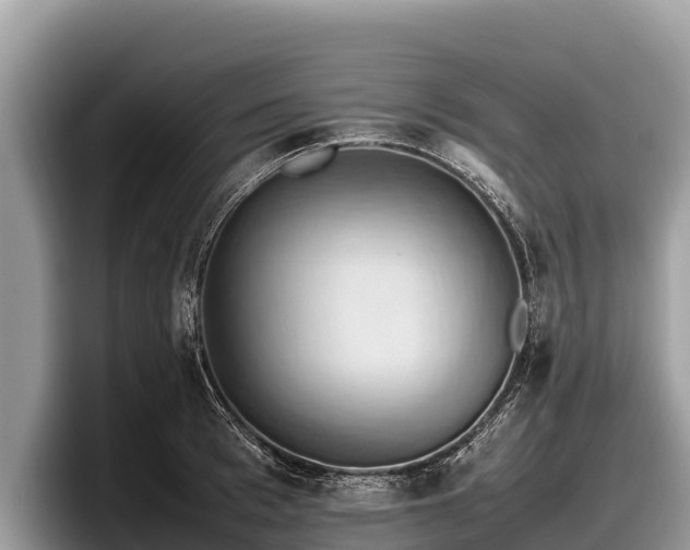 X0000097880993200803211330