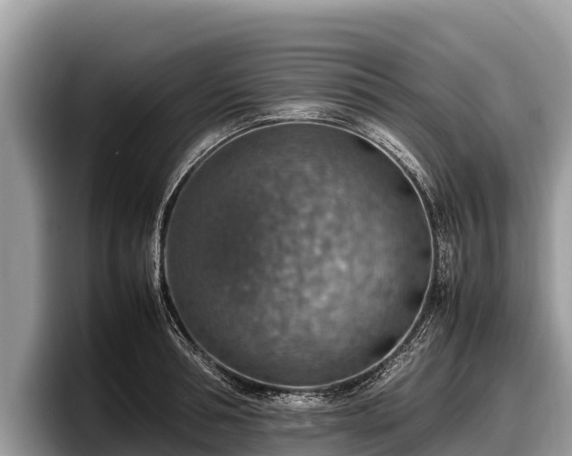 X0000097880994200803211330