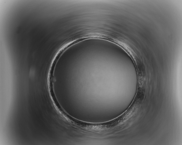 X0000097880995200803211330