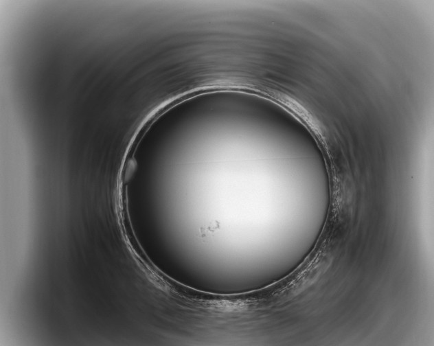 X0000097880996200803211330