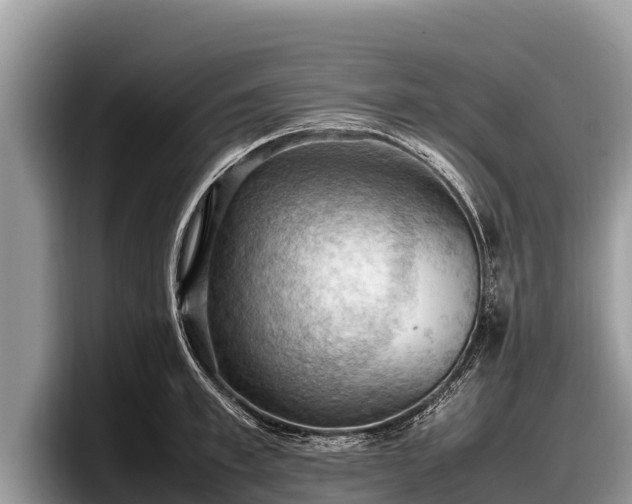 X0000097880997200803211330