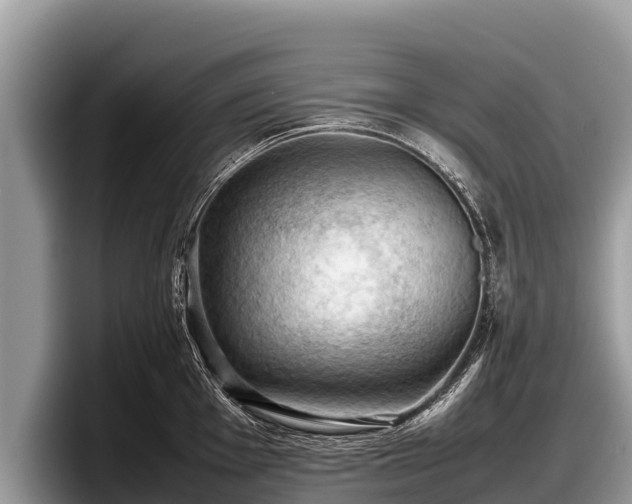 X0000097881001200803211330