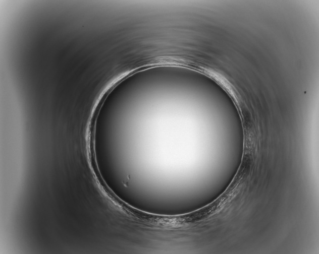 X0000097881003200803211330