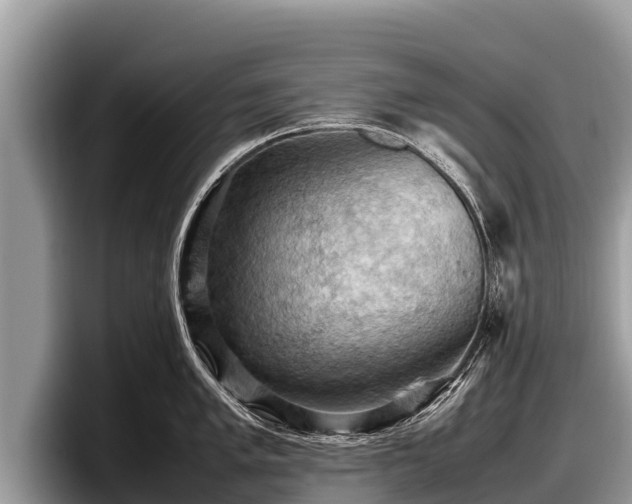 X0000097881005200803211330