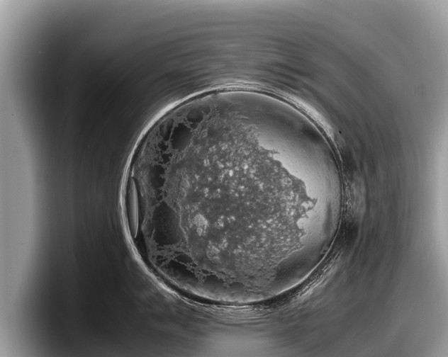 X0000097881007200803211330