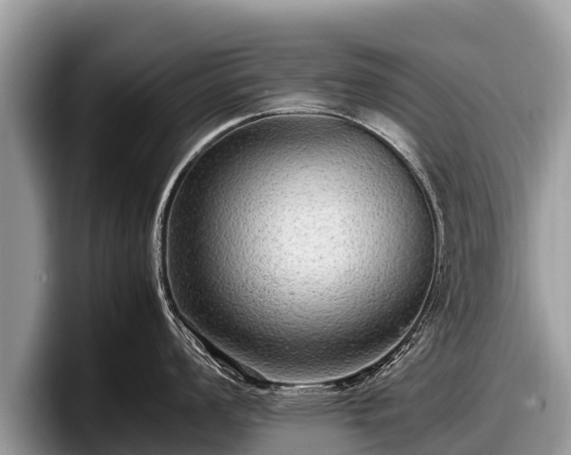 X0000097881008200803211330