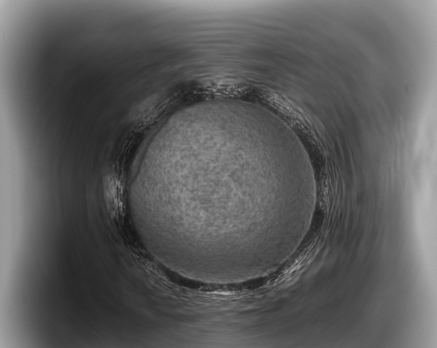 X0000097881010200803211330
