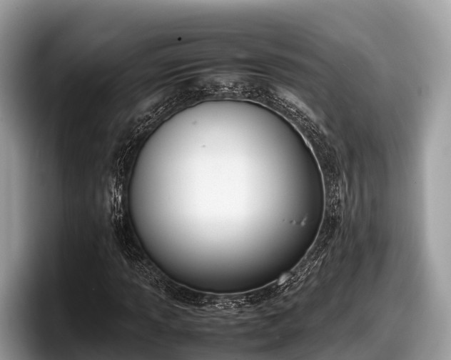 X0000097881013200803211330