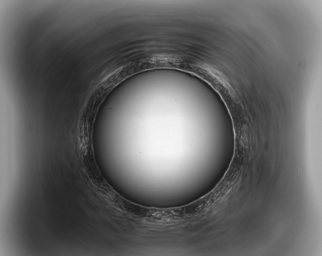 X0000097881015200803211330