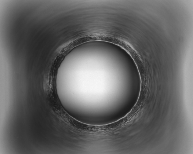 X0000097881016200803211330
