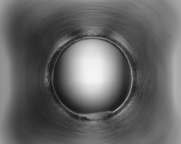 X0000097881018200803211330