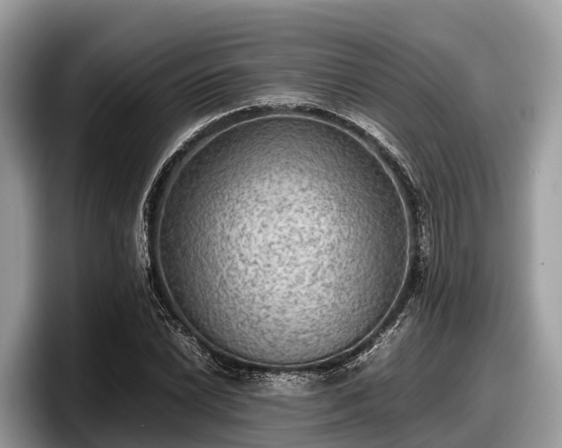 X0000097881022200803211330
