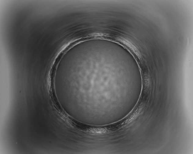 X0000097881023200803211330