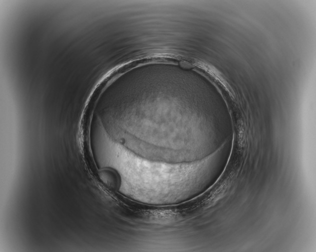 X0000097881024200803211330