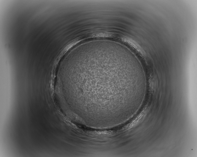 X0000097881025200803211330