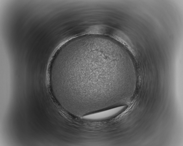 X0000097881027200803211330