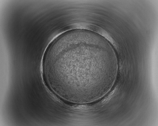 X0000097881028200803211330