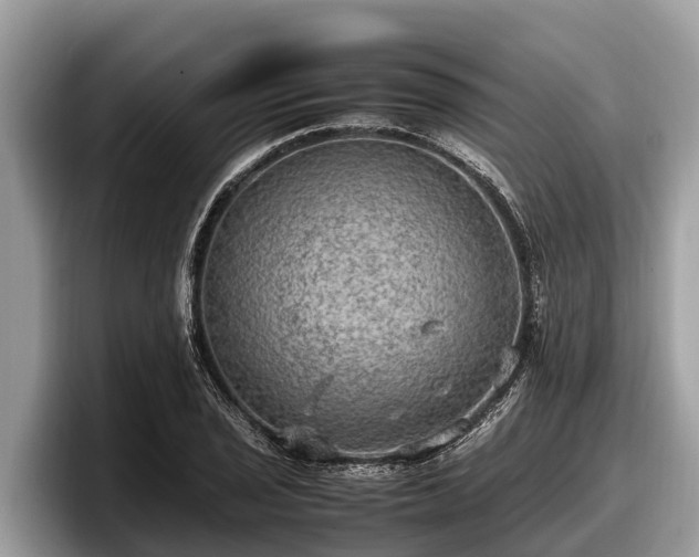 X0000097881029200803211330