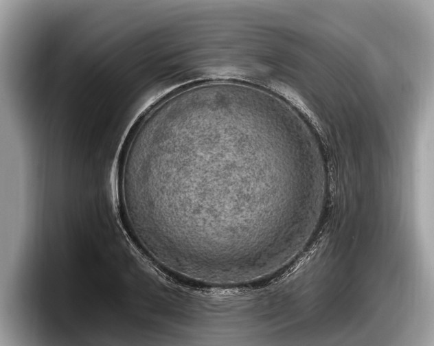 X0000097881032200803211330
