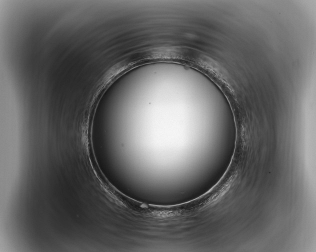 X0000097881033200803211330